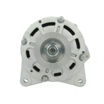 Alternateur BV PSH 305.425.190.080