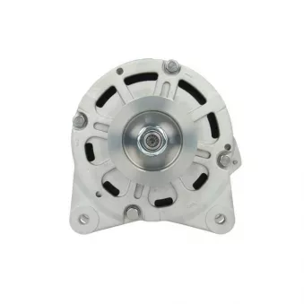 Alternateur BV PSH 305.427.190.080