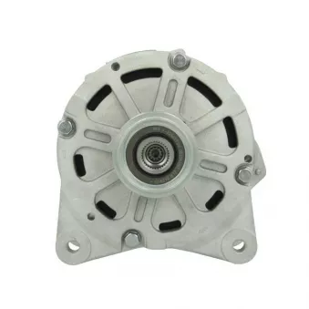 Alternateur BV PSH 305.428.190.080