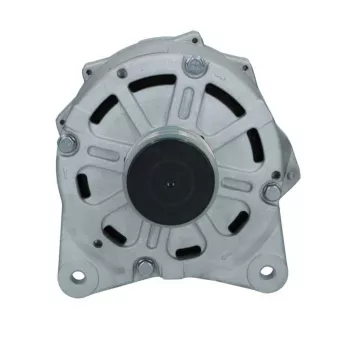 Alternateur BV PSH 305.428.190.088