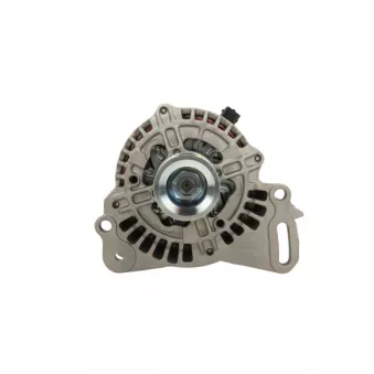 Alternateur BV PSH 305.501.070.311