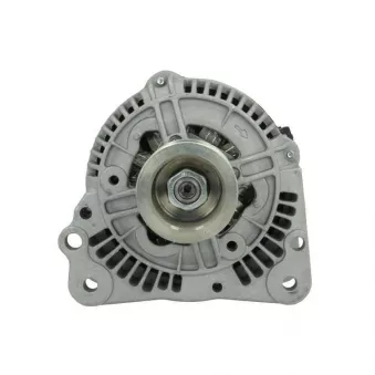 Alternateur BV PSH 305.502.070.010