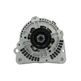 Alternateur BV PSH 305.502.090.010