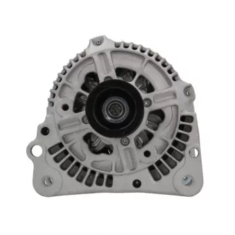 Alternateur BV PSH 305.503.090.010