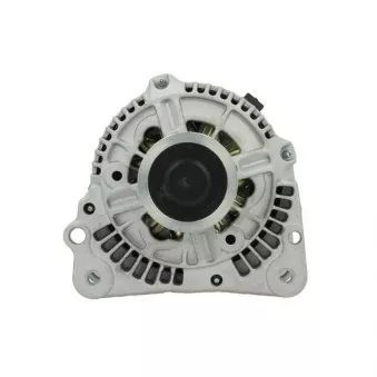 Alternateur BV PSH 305.505.070.010
