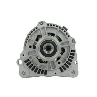Alternateur BV PSH 305.506.090.010