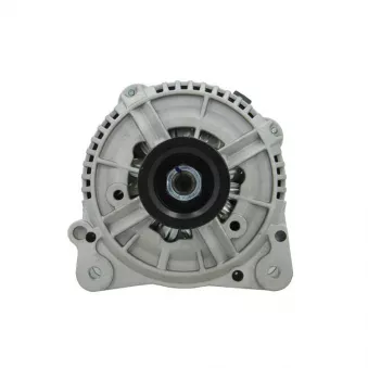 Alternateur BV PSH 305.507.120.010