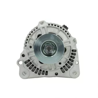 Alternateur BV PSH 305.509.090.010