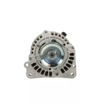 Alternateur BV PSH 305.509.090.311