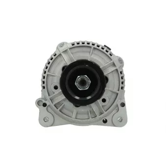 Alternateur BV PSH 305.509.120.010