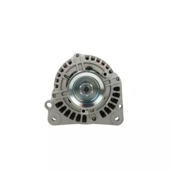 Alternateur BV PSH 305.510.090.311