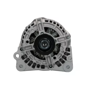 Alternateur BV PSH 305.513.070.018