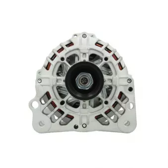 Alternateur BV PSH 305.513.090.004