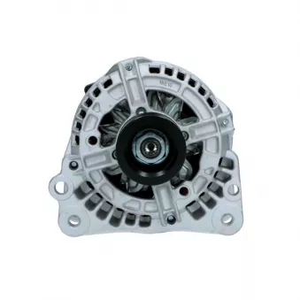 Alternateur BV PSH 305.513.090.018