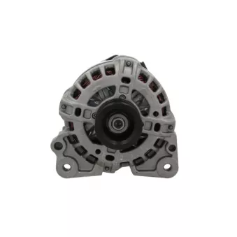 Alternateur BV PSH 305.513.090.281
