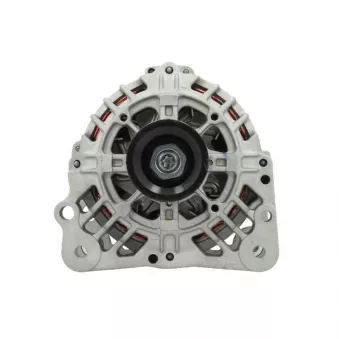 Alternateur BV PSH 305.513.090.500