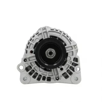 Alternateur BV PSH 305.515.090.010