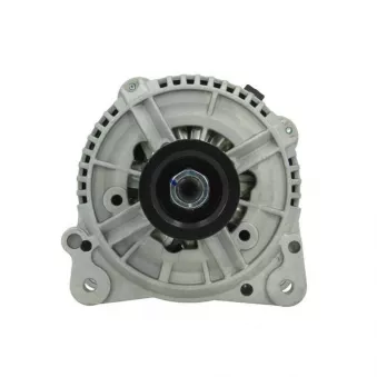 Alternateur BV PSH 305.516.120.010