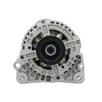 Alternateur BV PSH 305.517.070.010