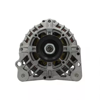 Alternateur BV PSH 305.517.070.500