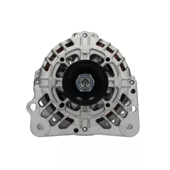 Alternateur BV PSH 305.517.090.004