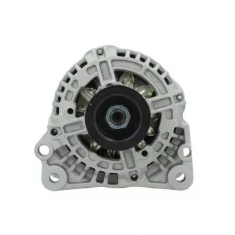 Alternateur BV PSH 305.517.090.010