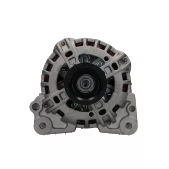Alternateur BV PSH 305.517.090.282