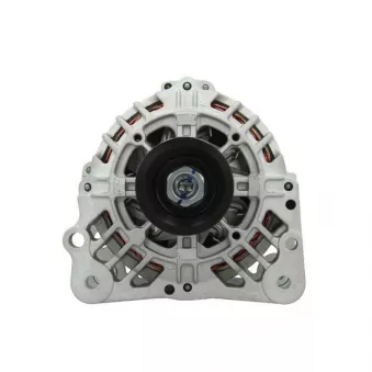 Alternateur BV PSH 305.517.090.500