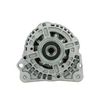 Alternateur BV PSH 305.518.070.010