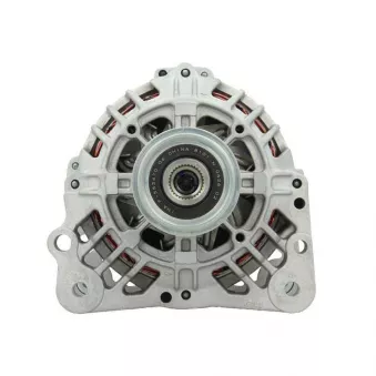 Alternateur BV PSH 305.518.090.500