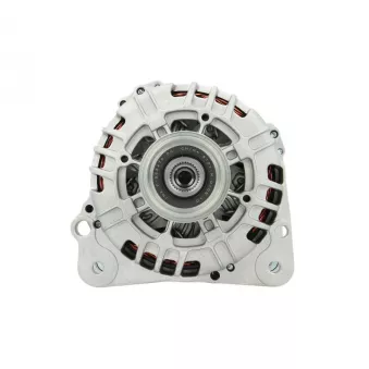 Alternateur BV PSH 305.518.120.004