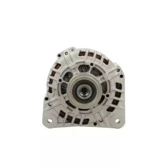 Alternateur BV PSH 305.518.120.009