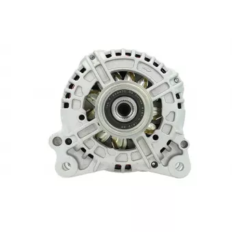 Alternateur BV PSH 305.518.120.010