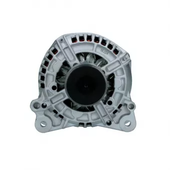Alternateur BV PSH 305.518.120.018