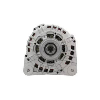 Alternateur BV PSH 305.518.120.500