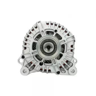 Alternateur BV PSH 305.518.140.004