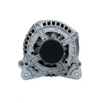 Alternateur BV PSH 305.518.140.018