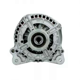Alternateur BV PSH 305.518.140.019