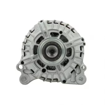 Alternateur BV PSH 305.518.140.500