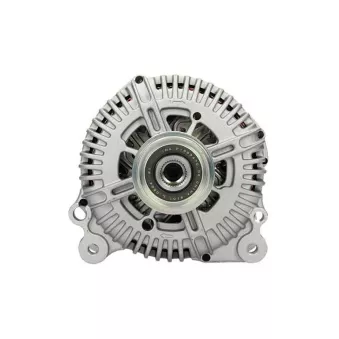 Alternateur BV PSH 305.518.180.000