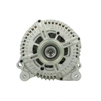 Alternateur BV PSH 305.518.180.500