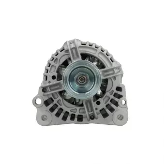 Alternateur BV PSH 305.519.090.010