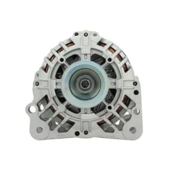 Alternateur BV PSH 305.519.090.500