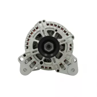 Alternateur BV PSH 305.519.110.000