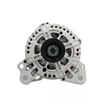 Alternateur BV PSH 305.519.110.004