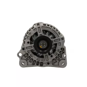 Alternateur BV PSH 305.519.110.281