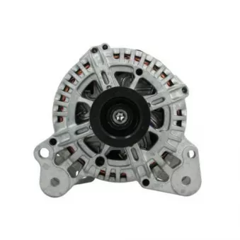Alternateur BV PSH 305.519.110.500