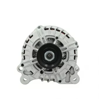 Alternateur BV PSH 305.521.140.004