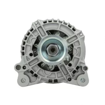 Alternateur BV PSH 305.521.140.014