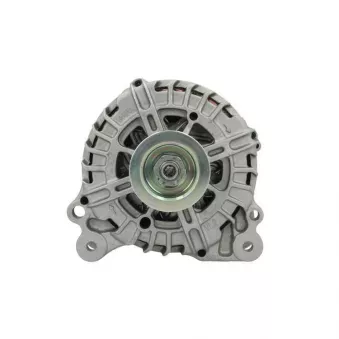 Alternateur BV PSH 305.521.140.500